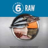 Orijen貓糧-orijen cat food-orijen 幼貓糧-PetChill寵物用品店