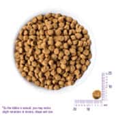 wellness core 幼貓糧 - wellness core 貓罐 - wellness core 貓糧