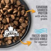 nutrience 狗糧 - nutrience cat food - PetChill寵物用品店