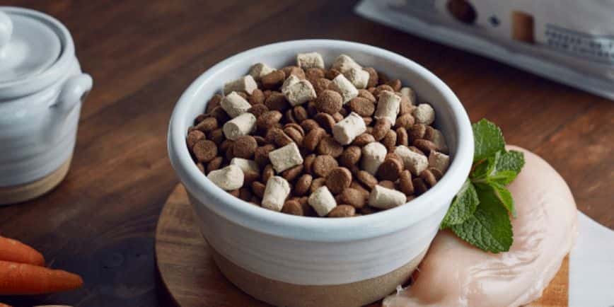 凍乾狗糧推薦 - 凍乾狗糧好處  - 凍乾生肉糧壞處 - 凍乾生肉糧推薦 - PetChill 寵物用品店