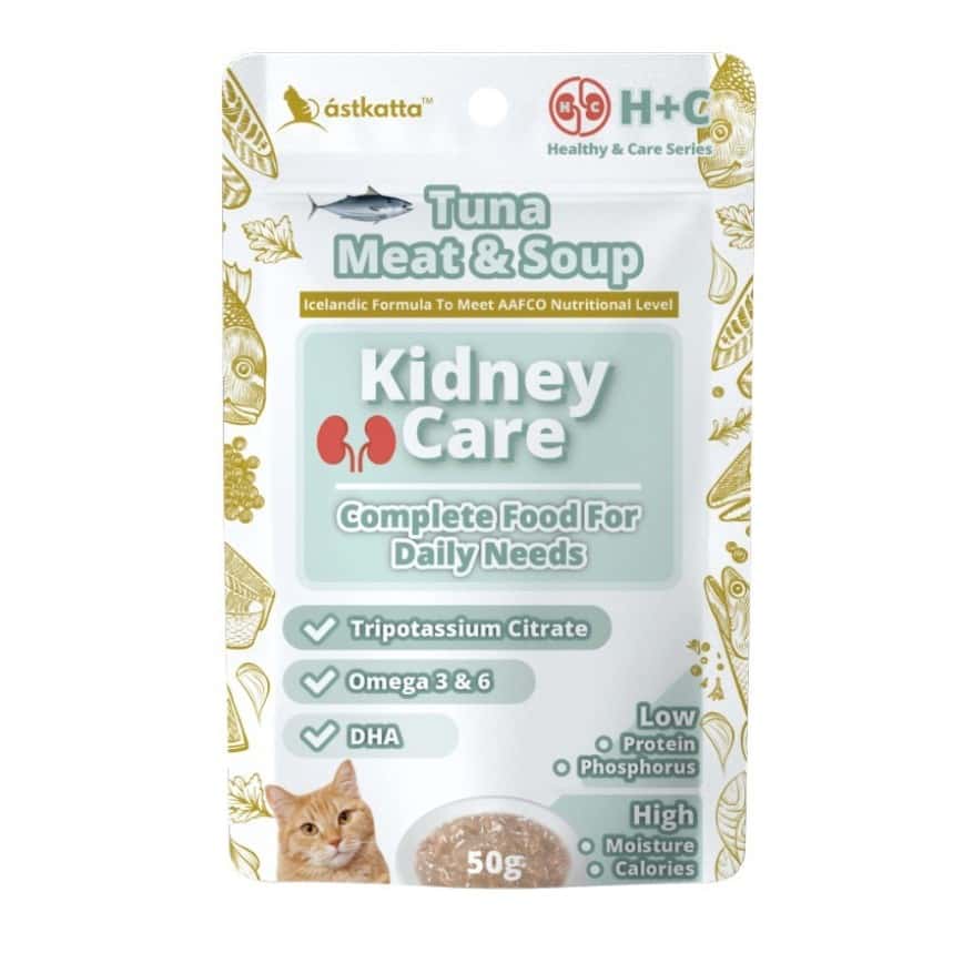 Astkatta貓罐頭好唔好？香港貓奴五星好評