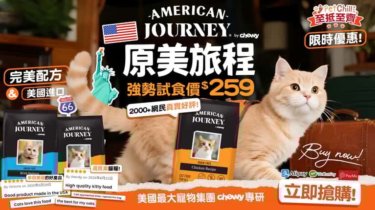 American Journey 強勢試食價$259