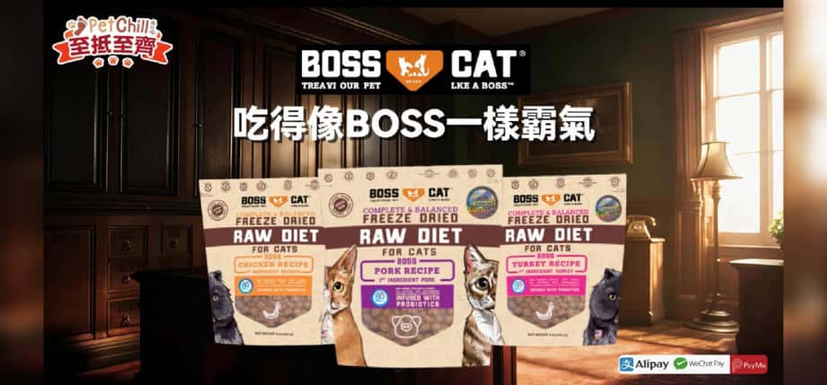 Boss Cat 貓用主食凍乾生肉糧（生雞肉／生火雞／生豬肉配方）｜PetChill 寵物用品速遞