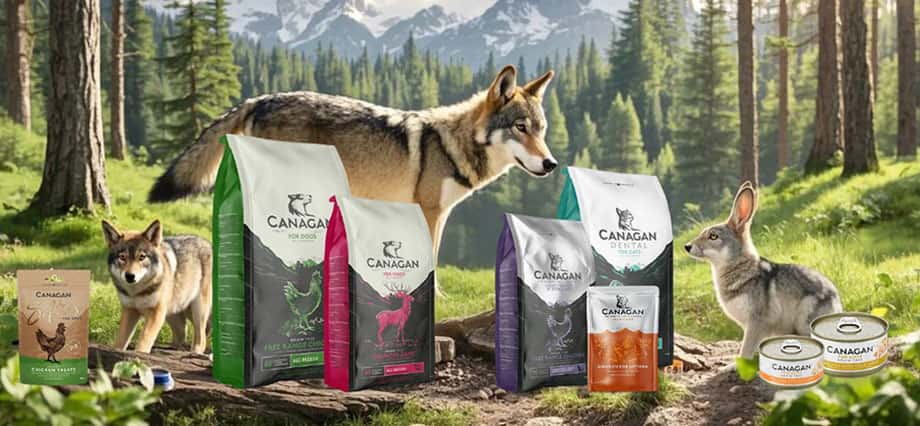 canagan罐頭 - canagan貓罐 - canagan罐頭評價 - canagan狗糧 - canagan貓糧 - canagan貓糧評價 - canagan主食罐 - canagan貓罐評價