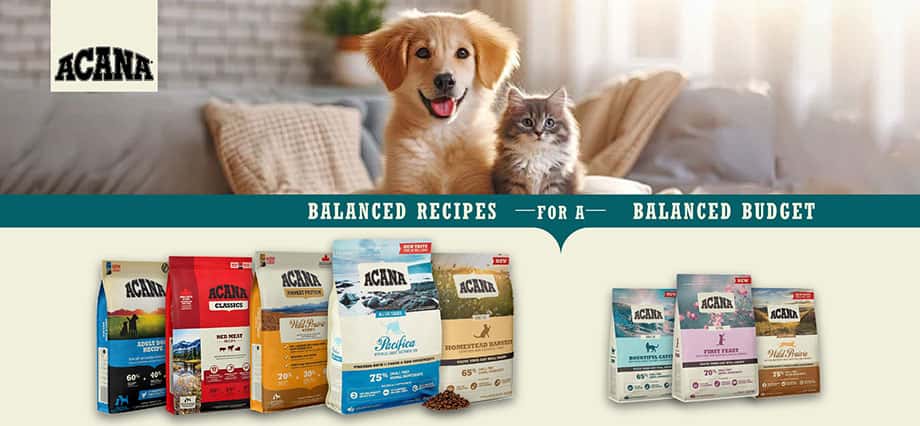 acana - acana dog food - acana cat food - acana puppy food - acana貓糧 - acana狗糧評價 - acana貓糧評價 - acana狗糧 - acana幼貓糧好唔好 - acana貓糧成份 - 愛肯拿貓糧 - 愛肯拿貓飼料推薦 - 愛肯拿狗飼料評價 - PetChill 寵物用品店