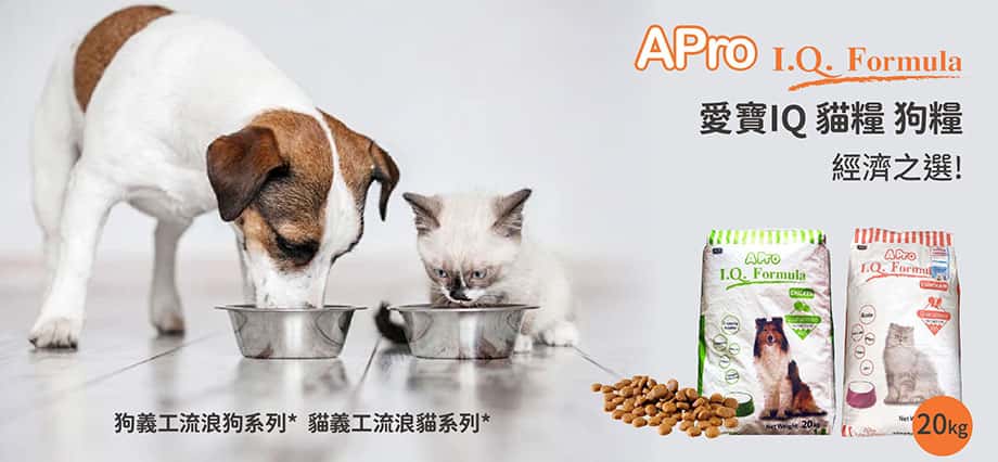 apro iq formula dog food - a pro i.q. formula cat food - apro dog food 20kg - a pro dog food review - apro cat food 20kg - apro IQ - apro cat food - a pro cat food review - a pro dog food - a pro i.q formula dog food review - apro iq 貓糧 - apro 貓糧 - apro iq 愛寶狗乾糧 - PetChill 寵物用品店