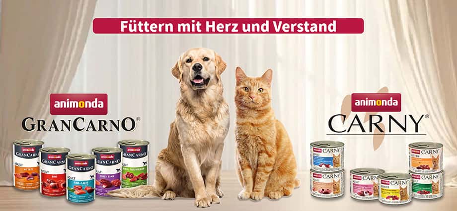 animonda - animonda carny - animonda carny kitten - animonda cat food - carny cat food - animonda grancarno - animonda cat food review - animonda carny cat food review - animonda貓罐評價 - animonda carny好唔好 - PetChill 寵物品店
