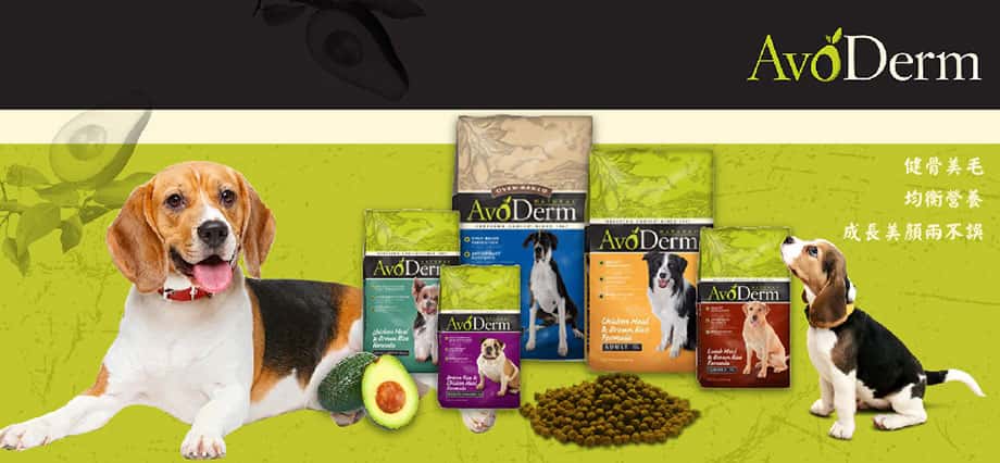 avoderm dog food review - avoderm dog food sensitive stomach - canidae dog food - avoderm 狗粮 - avoderm 牛油果狗粮 - astro cat評價 - astro cat無穀物貓糧成分 - PetChill 寵物用品店
