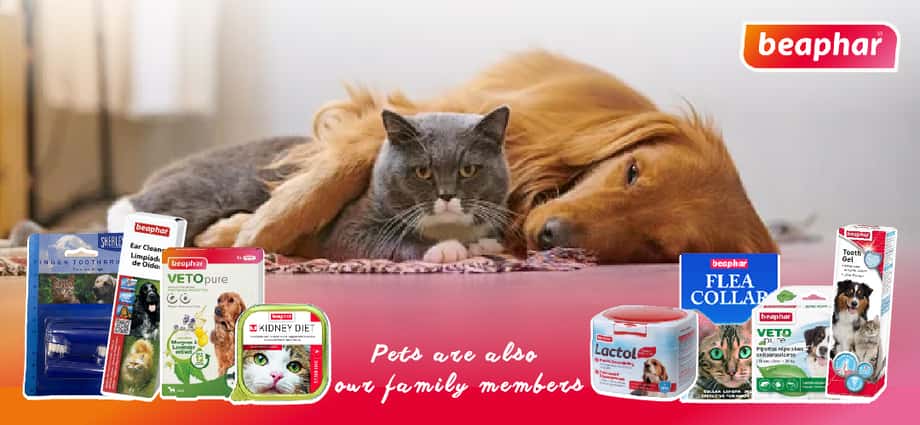 bentopal p03 replacement parts - bentopal automatic cat toy - bentopal智能寵物用品 - bentopal 逗貓球 - PetChill 寵物用品店