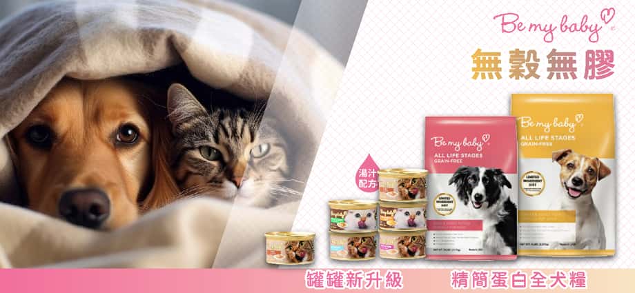 be my baby dog food - Be My Baby狗糧 - be my baby狗糧好唔好 - be my baby 猫罐 - be my baby貓罐頭評價 - PetChill 寵物用品店