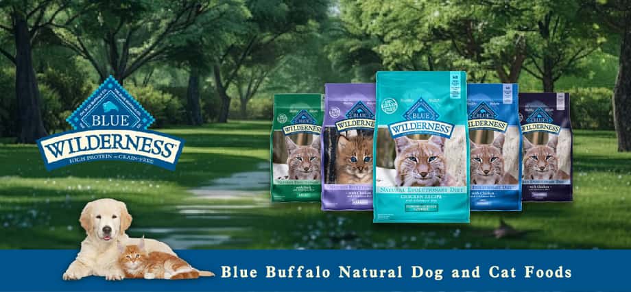 blue buffalo - blue buffalo 狗糧 - blue buffalo狗糧好唔好 - blue buffalo 貓糧 - blue buffalo評價 - blue buffalo貓糧評價 - PetChill 寵物用品店