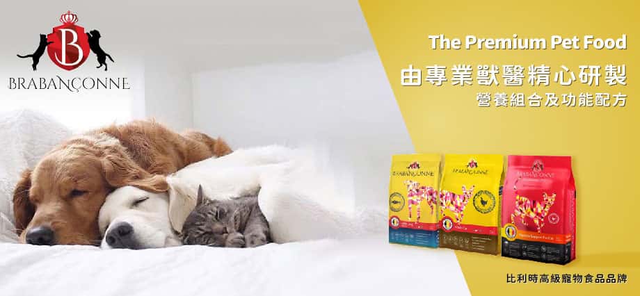 brabanconne - brabanconne貓糧評價 - brabanconne好唔好 - brabanconne狗糧 - brabanconne爸媽寵 - brabanconne貓糧20kg - 爸媽寵貓糧評價 - 爸媽寵20kg - 爸媽寵狗糧 - PetChill 寵物用品店
