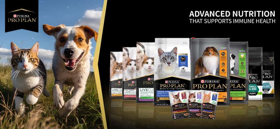 purina - pro plan - purina proplan - purina pro plan怎麼樣 - purina pro plan舒敏係列 - purina pro plan貓糧 - purina貓糧好唔好 - proplan幼貓糧 - proplan貓糧評價 - purina pro plan好唔好 - proplan狗糧好唔好 - 冠能狗糧 - 冠能貓糧怎麼樣 - PetChill 寵物用品店