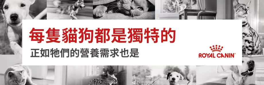 royal canin貓糧 , royal canin狗糧 , royal canin貓糧評價 , royal canin幼貓糧 , royal canin營養奶 , royal canin濕糧 , royal canin處方糧 , royal canin評價 , royal canin罐頭 , royal canin奶粉