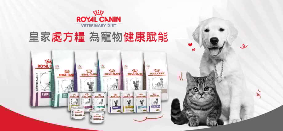 royal canin處方糧折扣 - royal canin處方濕糧 - royal canin處方貓糧邊度平 - royal canin處方糧好唔好 - royal canin處方糧泌尿 - royal canin處方貓糧好唔好 - royal canin狗處方糧  - royal canin 處方 糧 - 皇家處方糧 - PetChill 寵物用品店