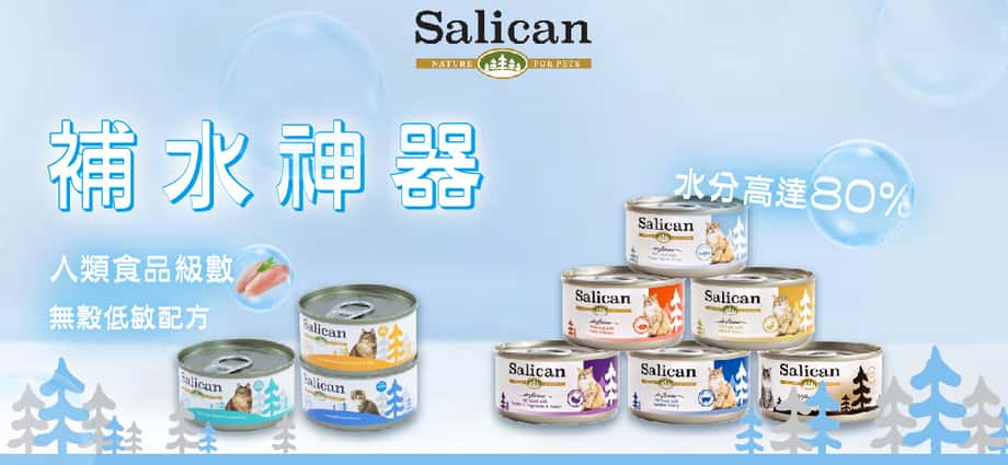 salican - salican貓罐 - salican貓罐評價 - salican主食罐 - salican罐頭 - salican主食罐好唔好 - PetChill 寵物用品店