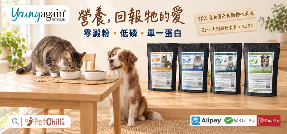 Young Again 貓狗糧:ZERO 貓糧、ZERO MATURE 貓糧、LID ZERO MATURE 貓糧、CORE HEALTH 狗糧|零澱粉、低磷、單一蛋白|PetChill 香港寵物店
