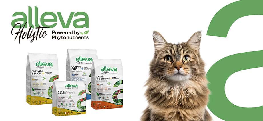 alleva - alleva 貓糧 - alleva 貓飼料 - alleva 貓飼料評價 - alleva 貓 糧 評價 - 艾雷雅飼料評價 - alleva貓糧好唔好 - PetChill 寵物用品店